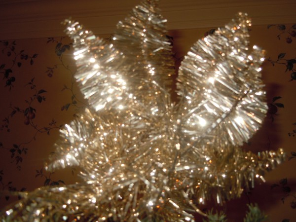 DSCN2417.JPG